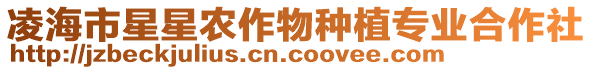 凌海市星星農(nóng)作物種植專業(yè)合作社