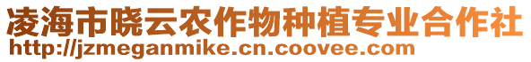 凌海市曉云農(nóng)作物種植專業(yè)合作社