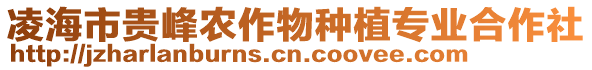 凌海市貴峰農(nóng)作物種植專業(yè)合作社