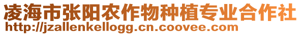 凌海市張陽(yáng)農(nóng)作物種植專業(yè)合作社