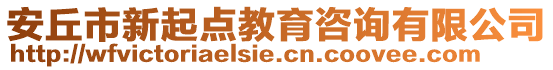 安丘市新起點教育咨詢有限公司