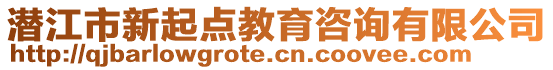 潛江市新起點教育咨詢有限公司