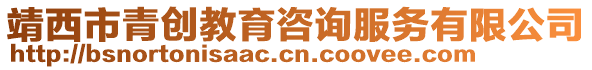 靖西市青創(chuàng)教育咨詢(xún)服務(wù)有限公司