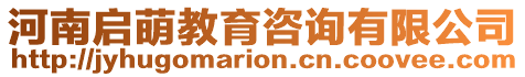 河南啟萌教育咨詢有限公司
