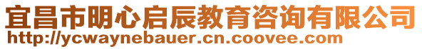 宜昌市明心啟辰教育咨詢有限公司