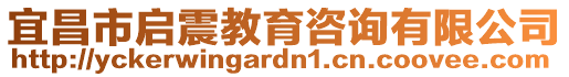 宜昌市啟震教育咨詢有限公司