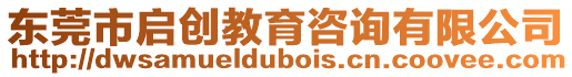 東莞市啟創(chuàng)教育咨詢有限公司