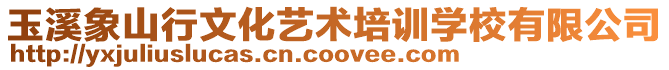 玉溪象山行文化藝術培訓學校有限公司