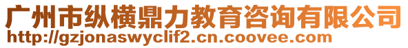 廣州市縱橫鼎力教育咨詢有限公司