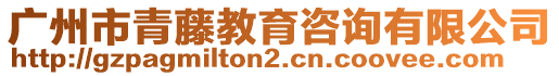 廣州市青藤教育咨詢有限公司