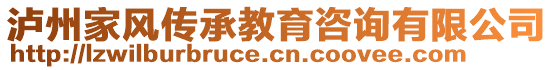 瀘州家風(fēng)傳承教育咨詢有限公司