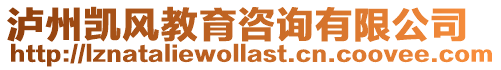 瀘州凱風(fēng)教育咨詢有限公司