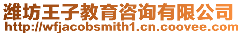 濰坊王子教育咨詢有限公司