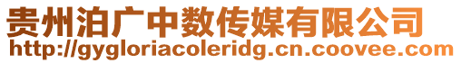 貴州泊廣中數傳媒有限公司