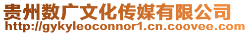 貴州數廣文化傳媒有限公司