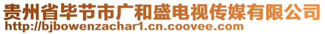 貴州省畢節(jié)市廣和盛電視傳媒有限公司