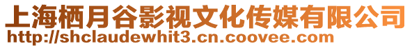 上海棲月谷影視文化傳媒有限公司