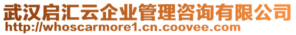 武漢啟匯云企業(yè)管理咨詢有限公司