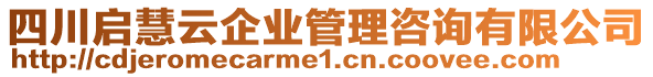 四川啟慧云企業管理咨詢有限公司