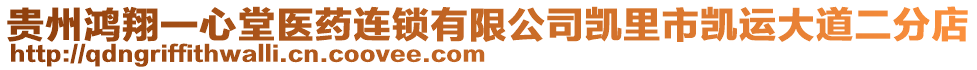 貴州鴻翔一心堂醫藥連鎖有限公司凱里市凱運大道二分店