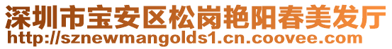 深圳市寶安區松崗艷陽春美發廳