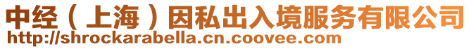 中經(上海)因私出入境服務有限公司