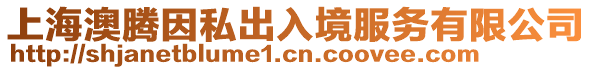 上海澳騰因私出入境服務有限公司