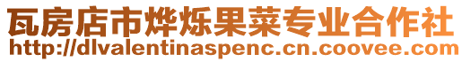 瓦房店市燁爍果菜專業合作社