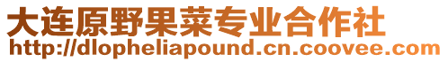 大連原野果菜專業合作社