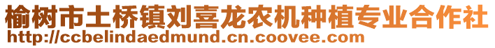 榆樹市土橋鎮(zhèn)劉喜龍農(nóng)機種植專業(yè)合作社