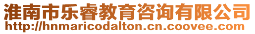 淮南市樂睿教育咨詢有限公司