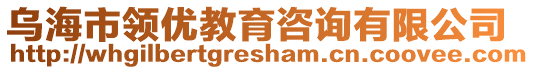 烏海市領(lǐng)優(yōu)教育咨詢有限公司