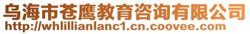 烏海市蒼鷹教育咨詢有限公司
