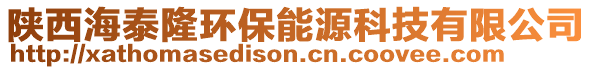 陜西海泰隆環(huán)保能源科技有限公司