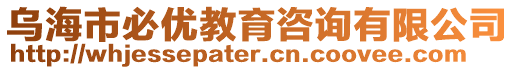 烏海市必優(yōu)教育咨詢有限公司