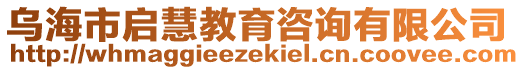 烏海市啟慧教育咨詢有限公司