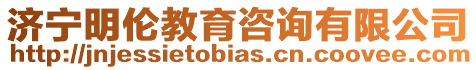 濟寧明倫教育咨詢有限公司