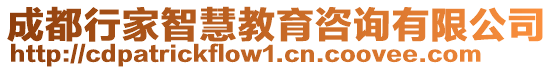 成都行家智慧教育咨詢有限公司