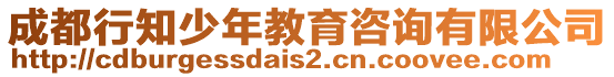 成都行知少年教育咨詢有限公司