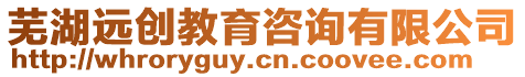 蕪湖遠(yuǎn)創(chuàng)教育咨詢有限公司