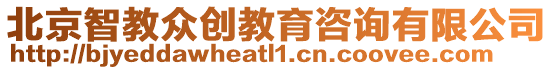 北京智教眾創教育咨詢有限公司