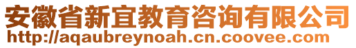 安徽省新宜教育咨詢有限公司