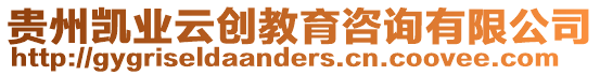 貴州凱業云創教育咨詢有限公司