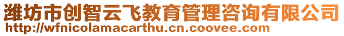 濰坊市創(chuàng)智云飛教育管理咨詢有限公司