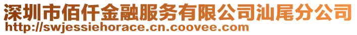 深圳市佰仟金融服務(wù)有限公司汕尾分公司