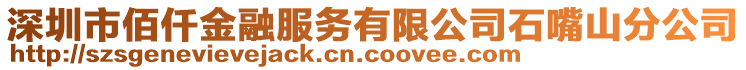 深圳市佰仟金融服務有限公司石嘴山分公司