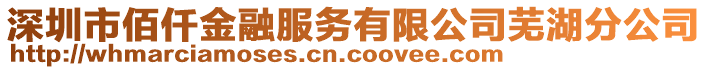 深圳市佰仟金融服務有限公司蕪湖分公司