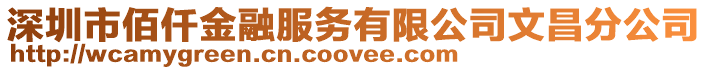 深圳市佰仟金融服務有限公司文昌分公司