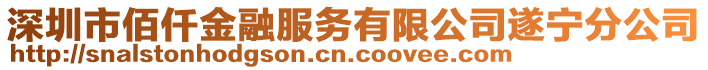 深圳市佰仟金融服務(wù)有限公司遂寧分公司