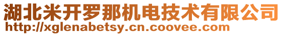 湖北米開羅那機電技術有限公司